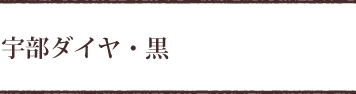 宇部ダイヤ・黒｜パティスリーケンジ