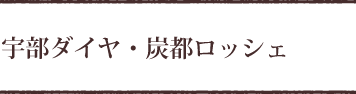 宇部ダイヤ・炭都ロッシェ｜パティスリーケンジ